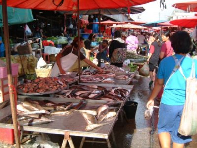 mercado (35)  ALIMENTOS MERCADO
